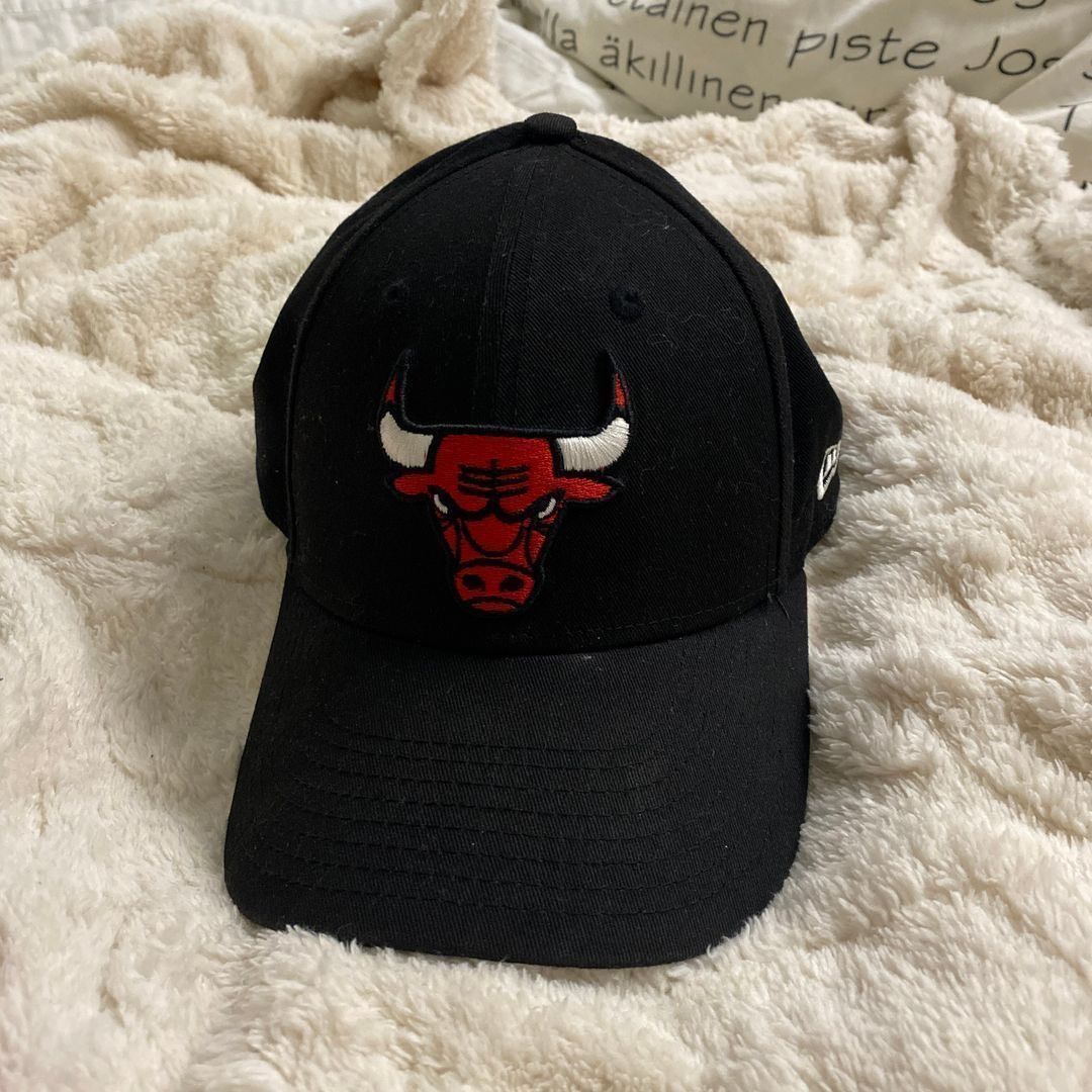 chicago bulls