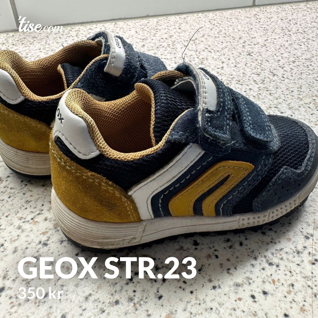 Geox str23