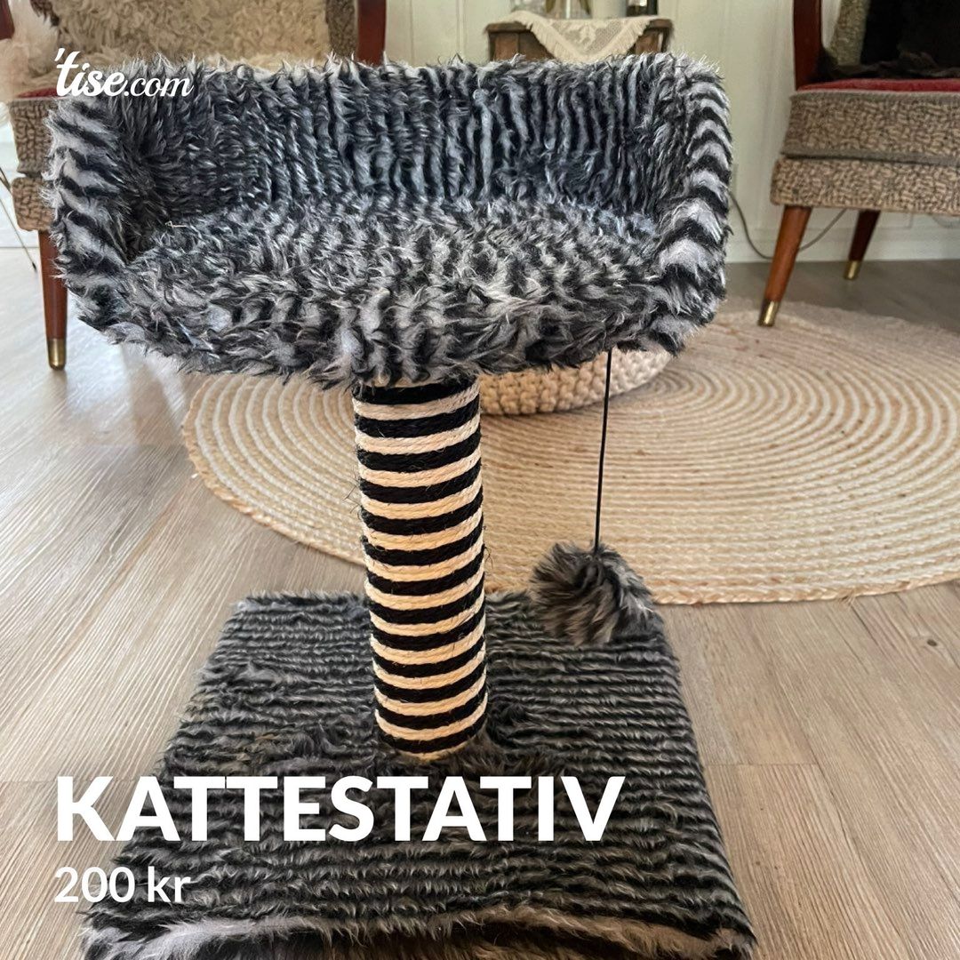 Kattestativ