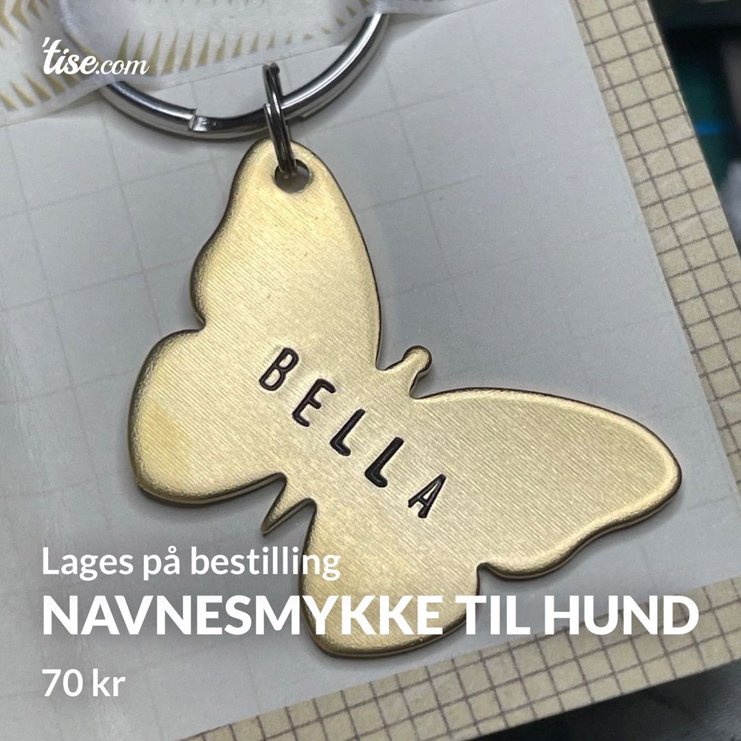 Navnesmykke til hund