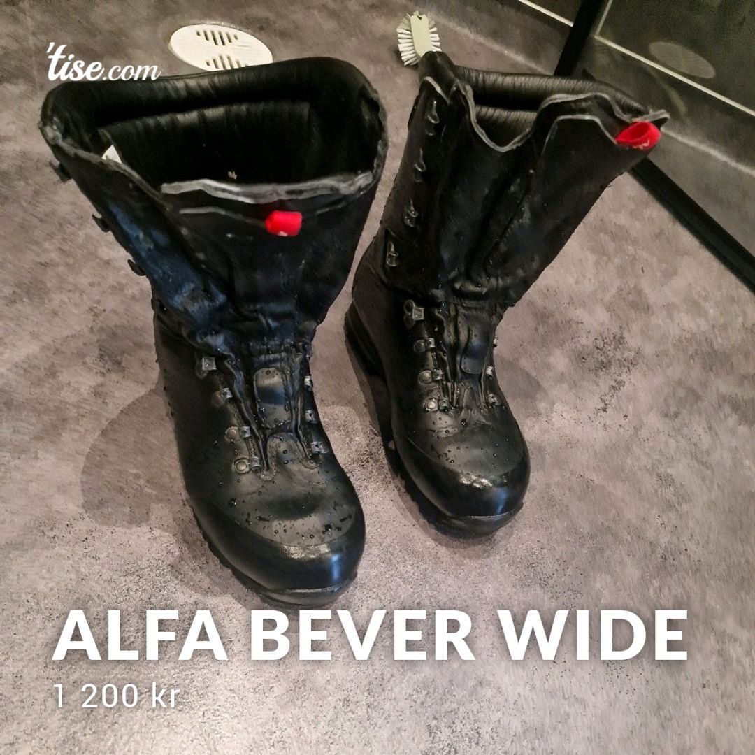 Alfa Bever Wide