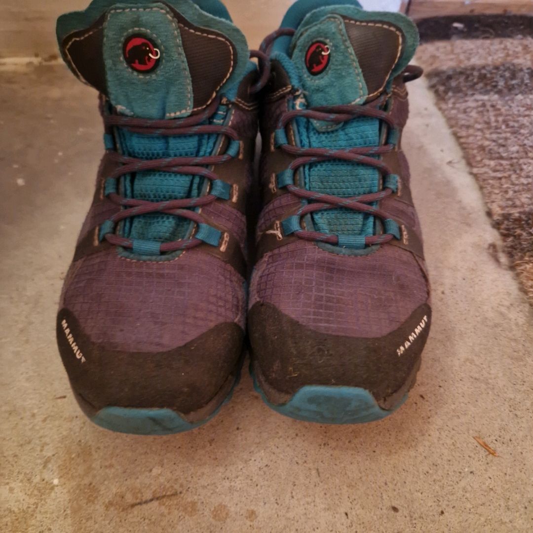 Mammut Gtx