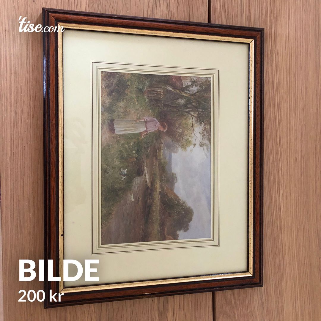 Bilde