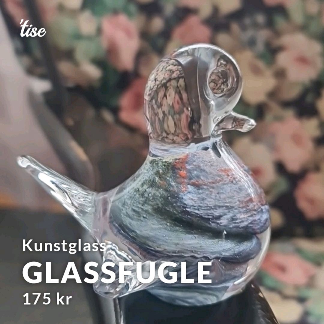 Glassfugle