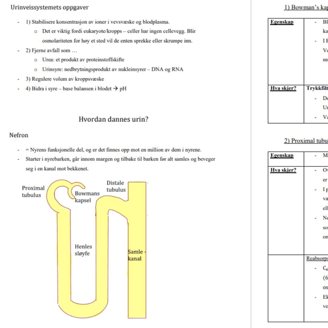 Biologi 1