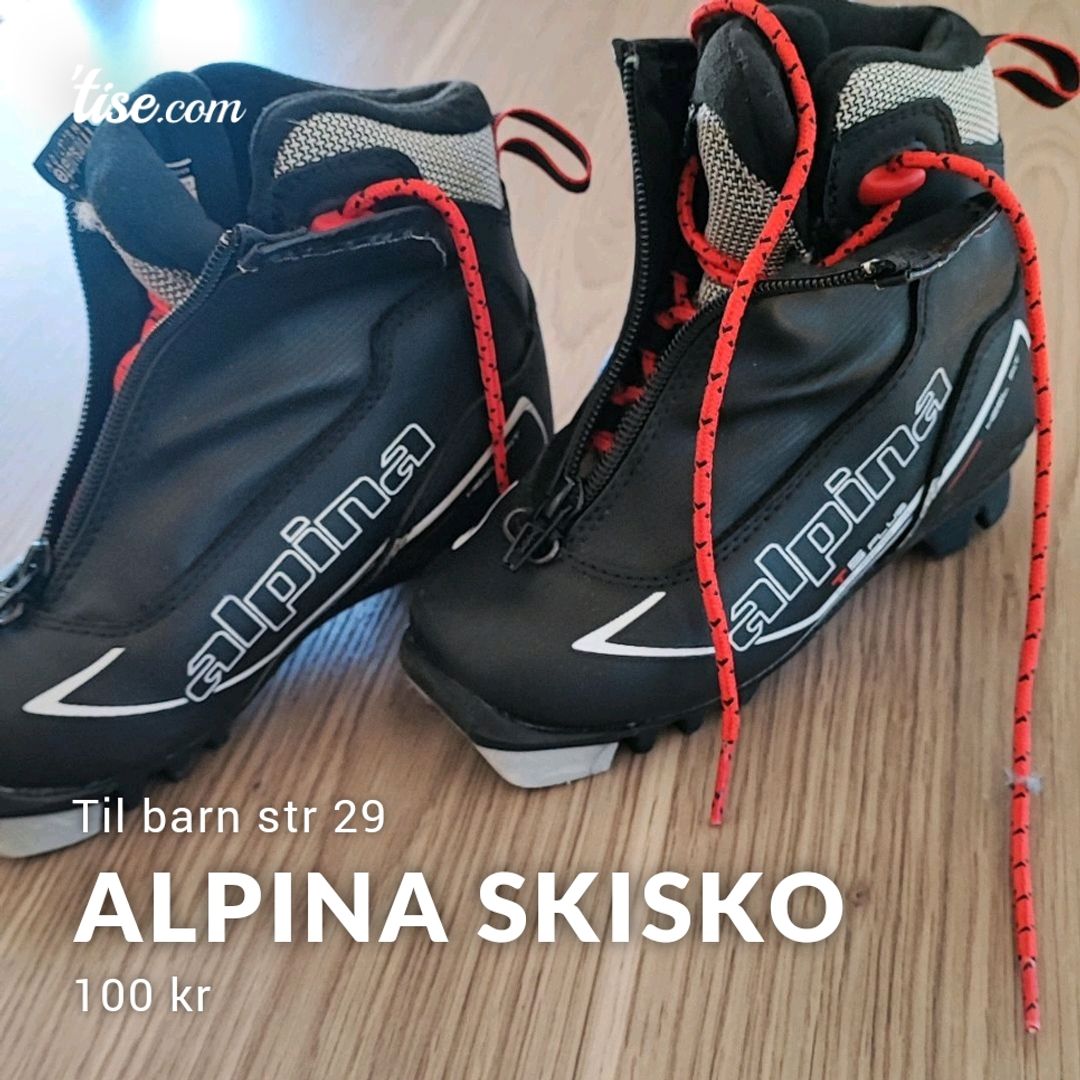 Alpina Skisko