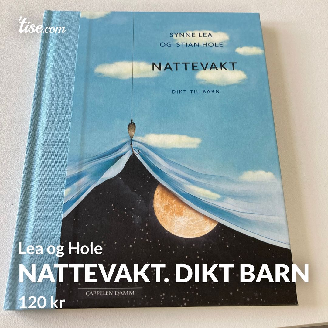 Nattevakt Dikt barn