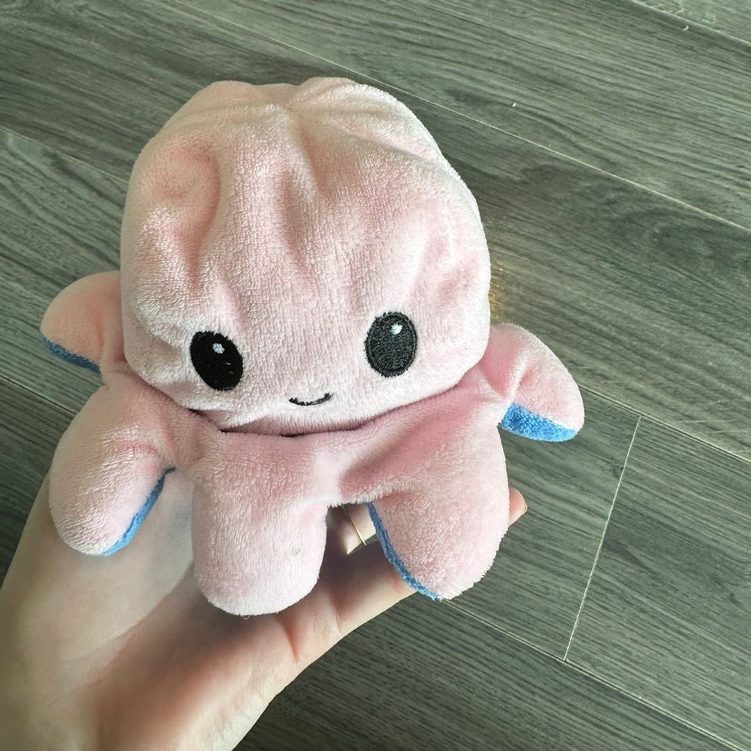 Reversible plushie