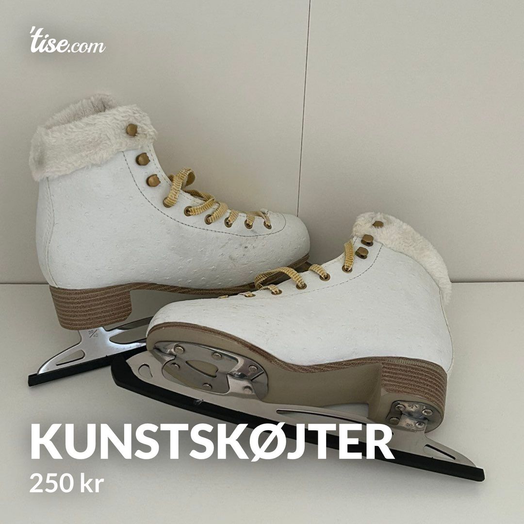 Kunstskøjter