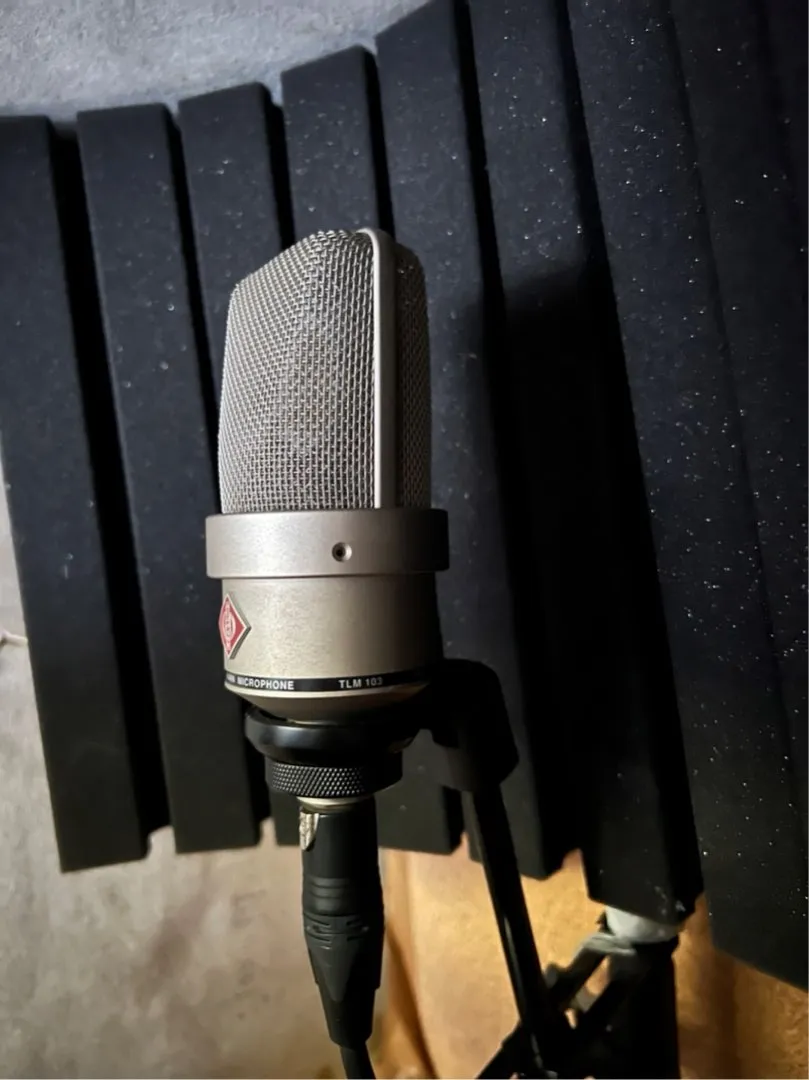 Neumann TLM 103