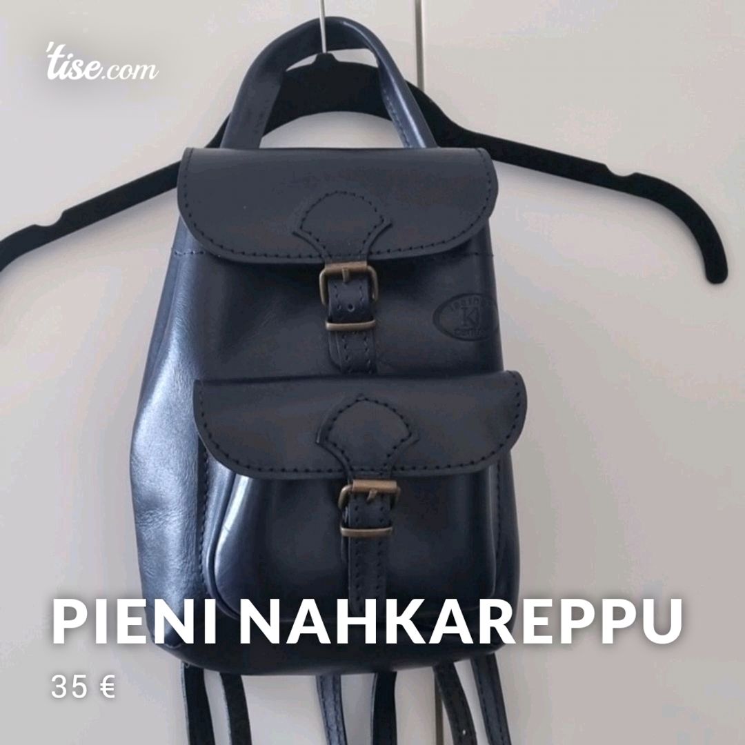 Pieni Nahkareppu