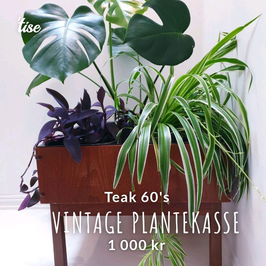 Vintage Plantekasse