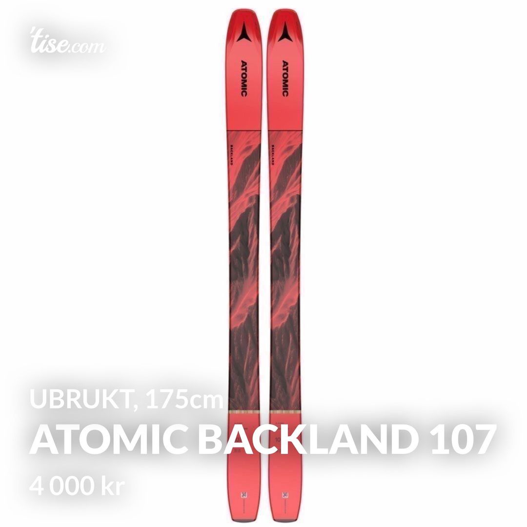 Atomic Backland 107