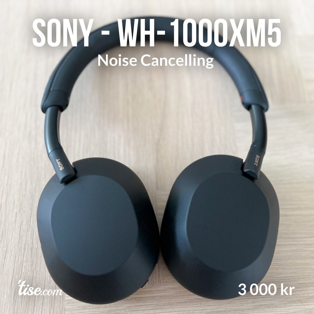 Sony - WH-1000XM5