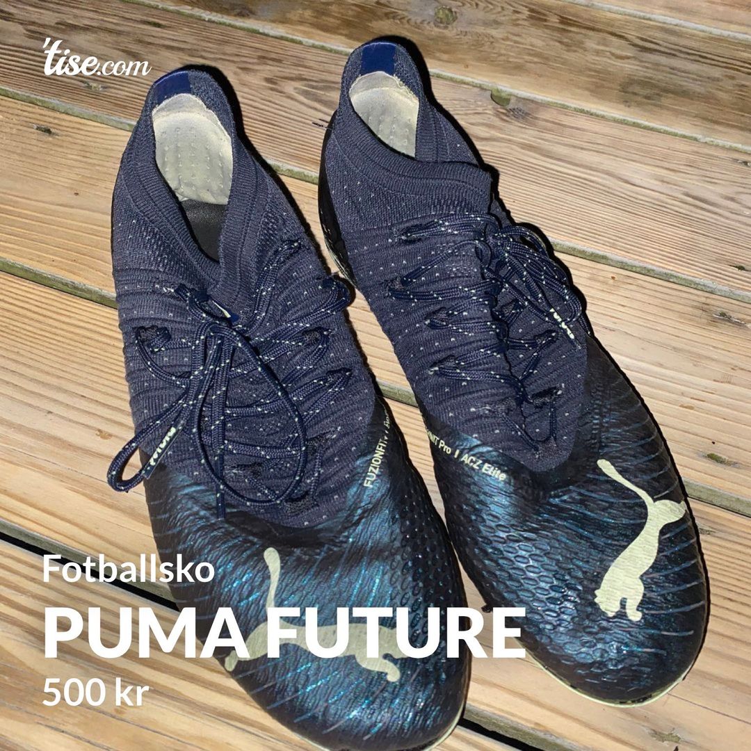 Puma future