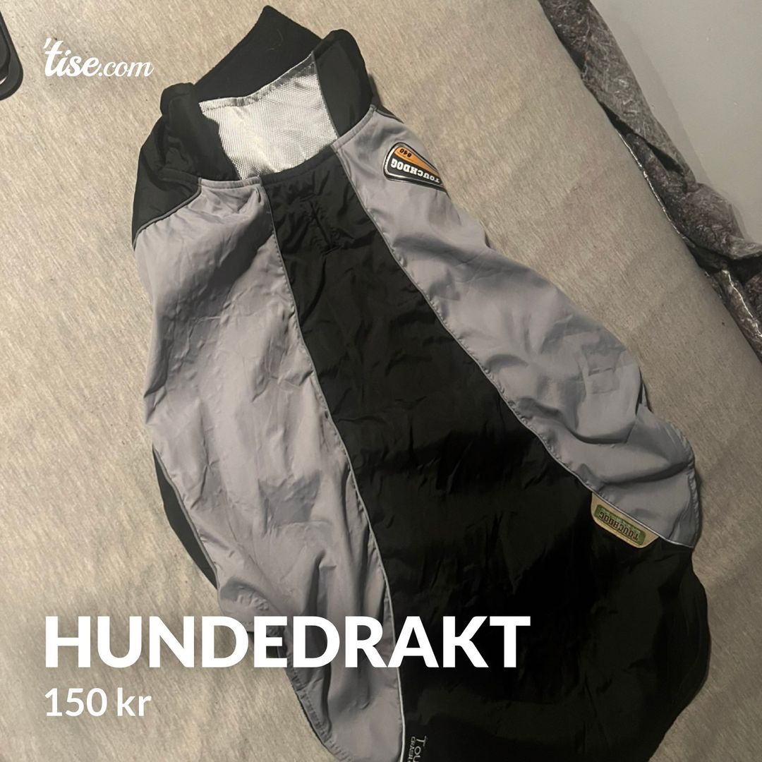 Hundedrakt