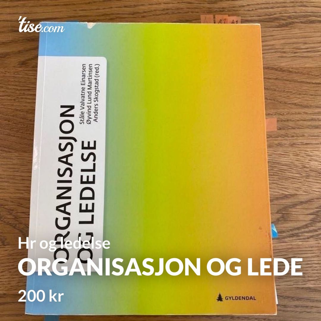 Organisasjon og lede