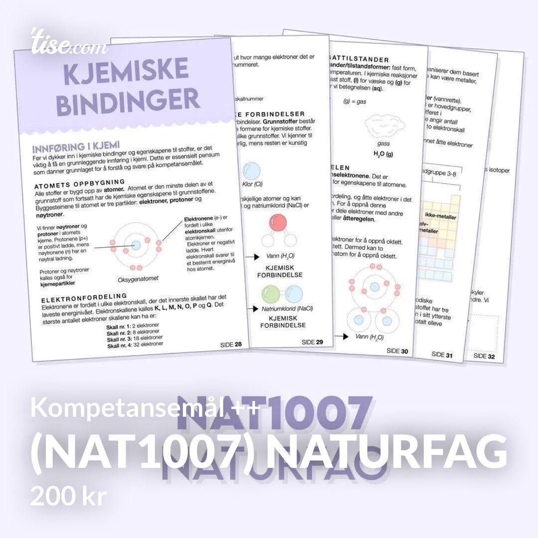 (NAT1007) Naturfag