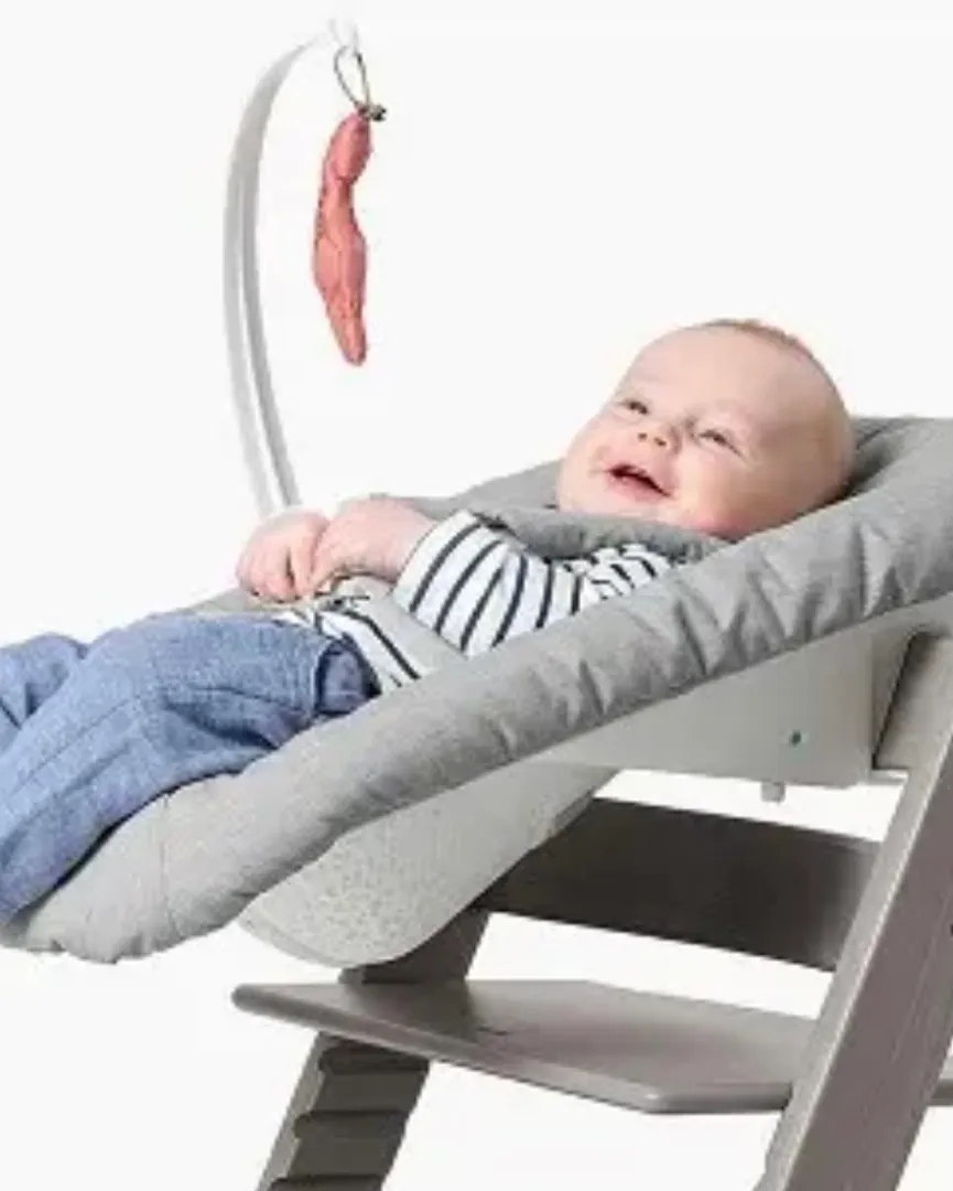 Stokke newborn seat