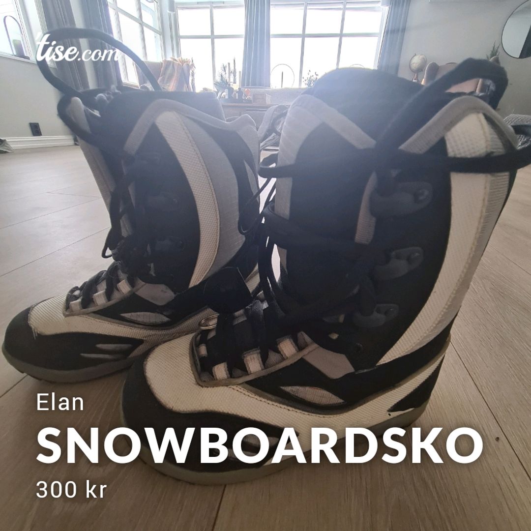 Snowboardsko