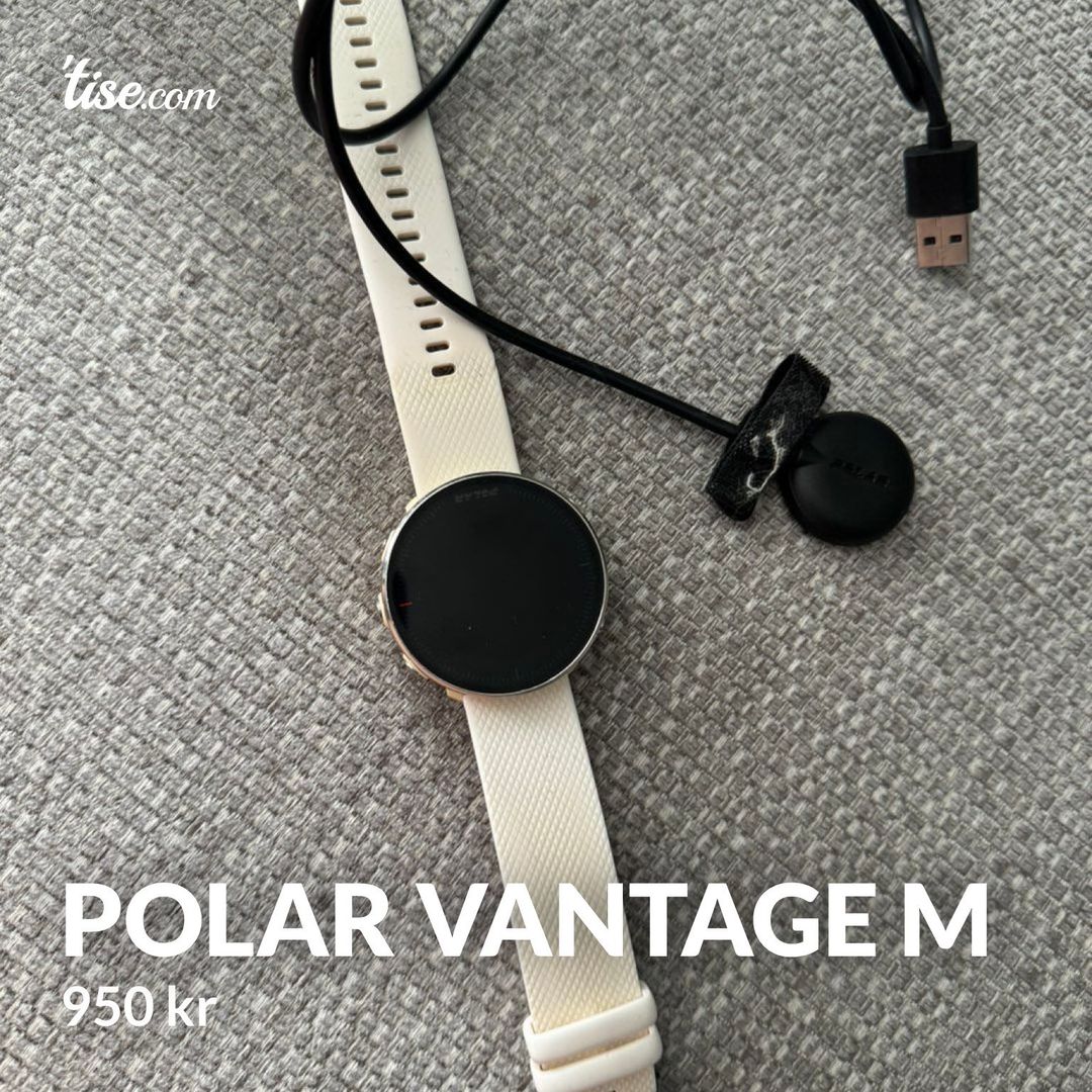 Polar Vantage M