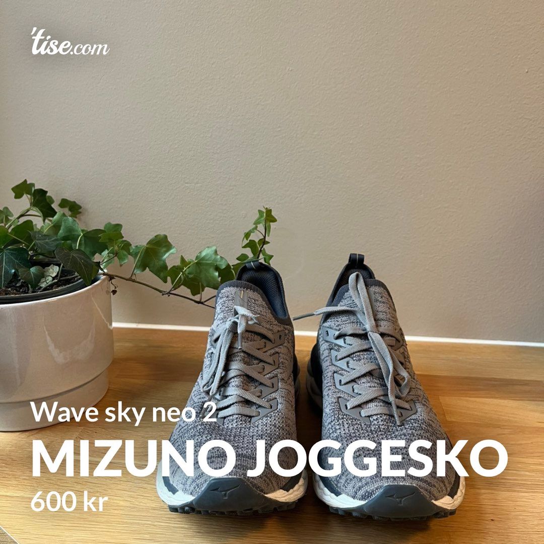 Mizuno joggesko