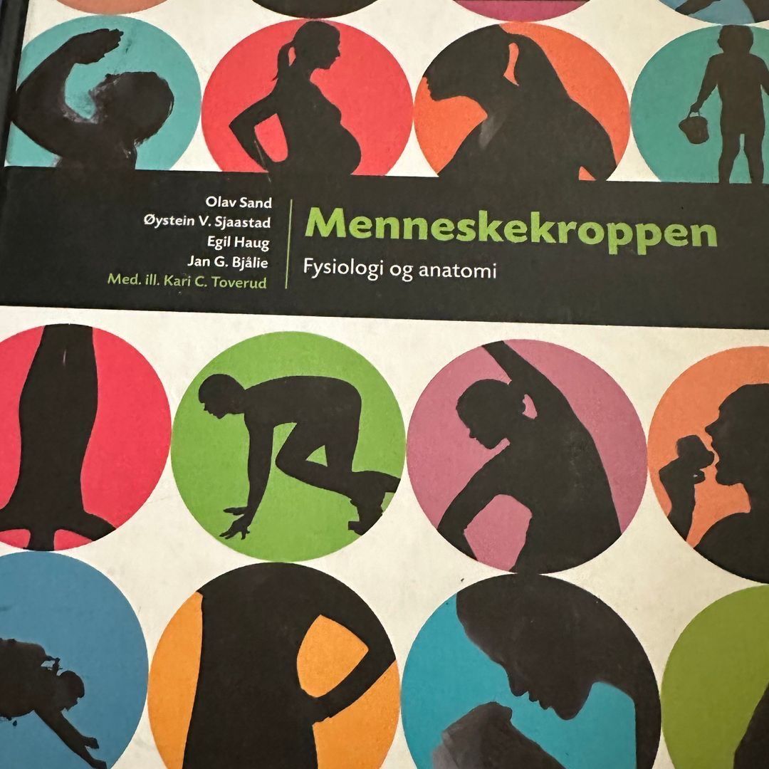 Menneskekroppen