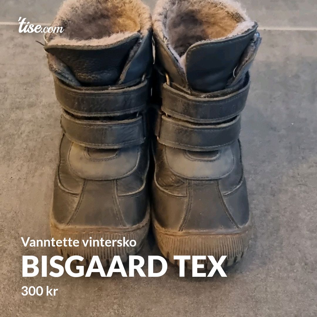 Bisgaard Tex