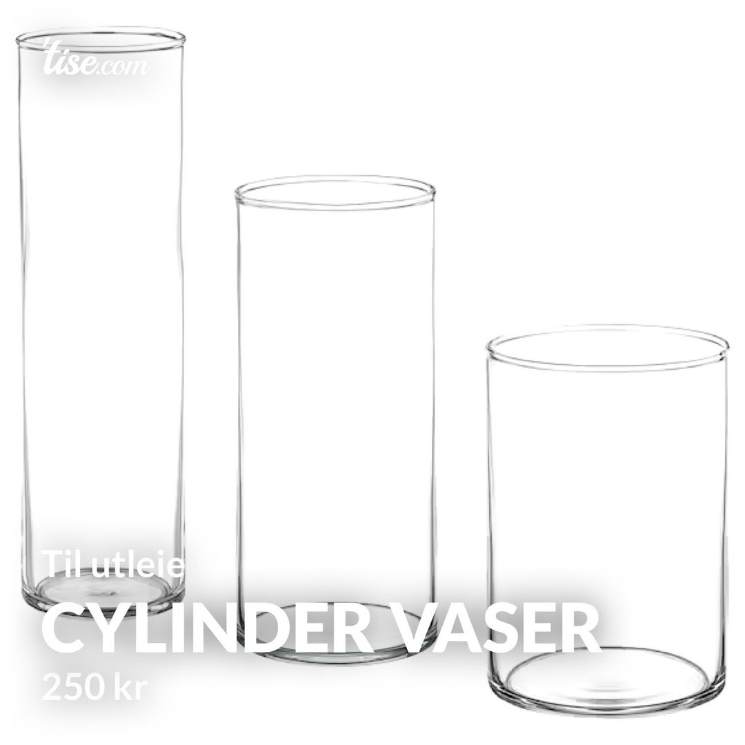 Cylinder vaser