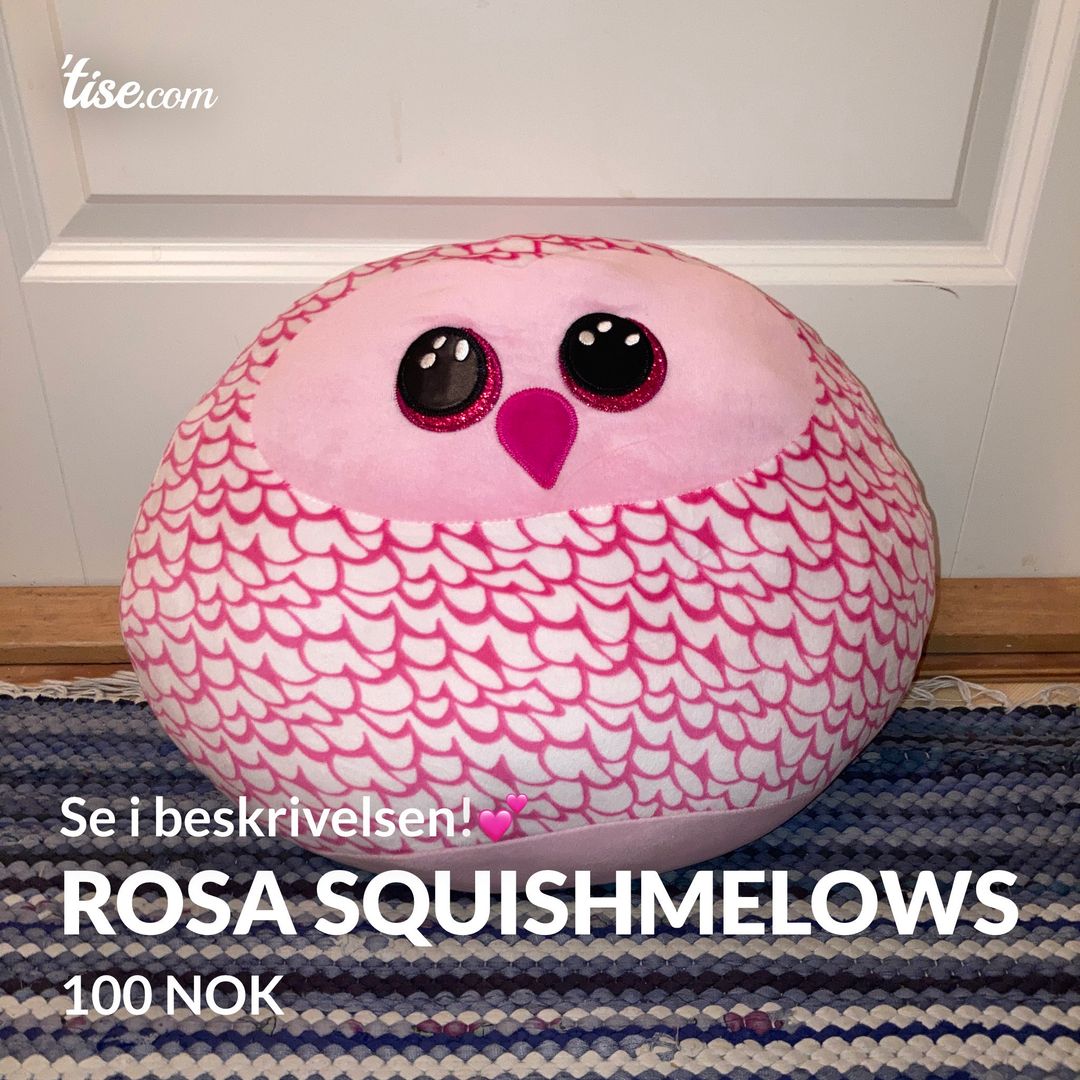 Rosa squishmelows