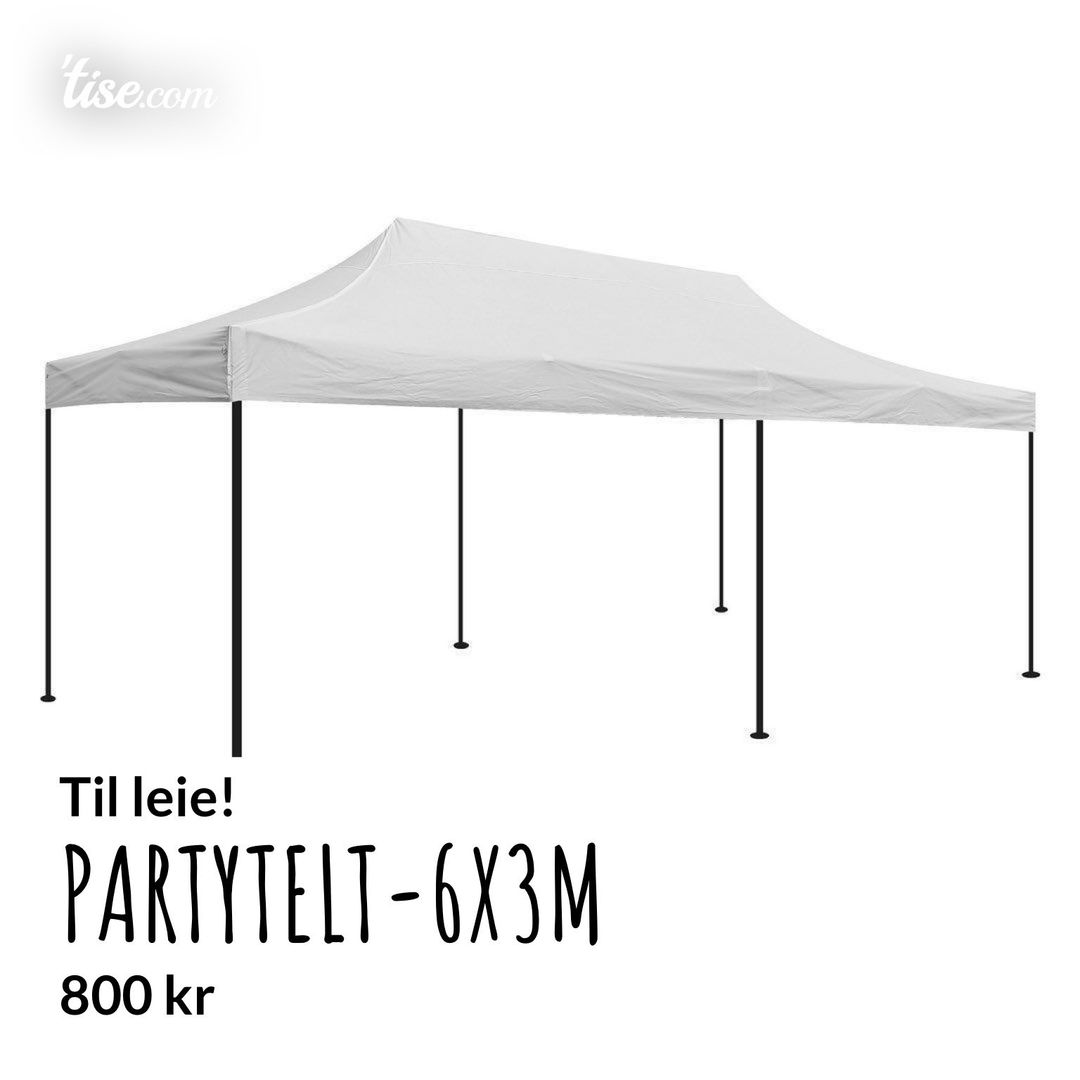 Partytelt-6x3m