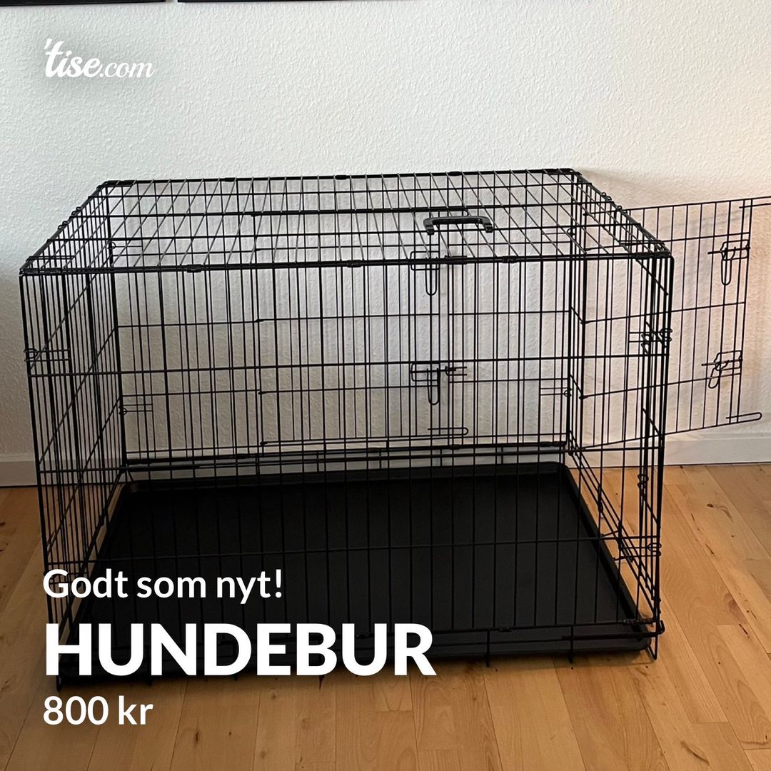 Hundebur