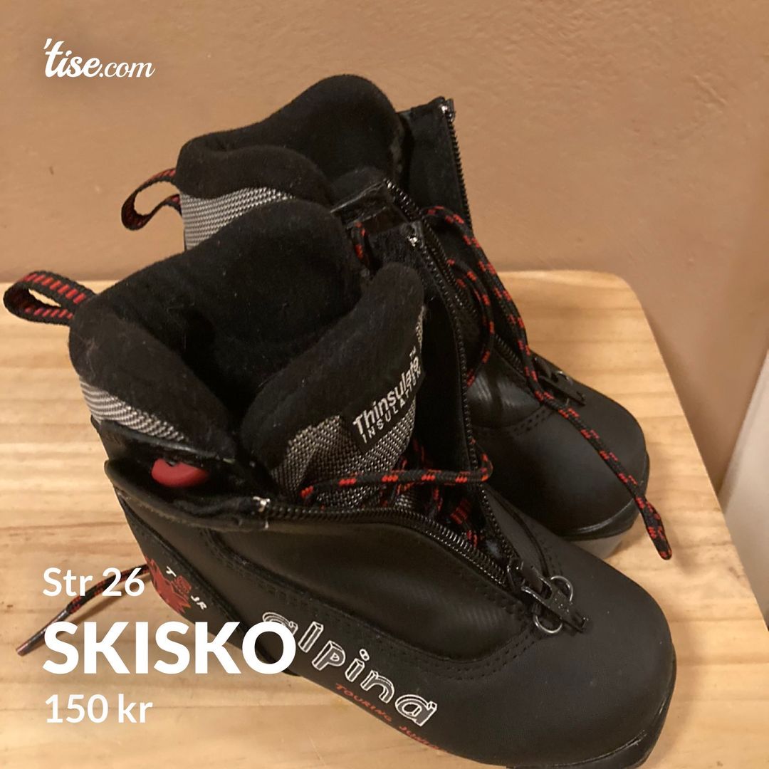 Skisko