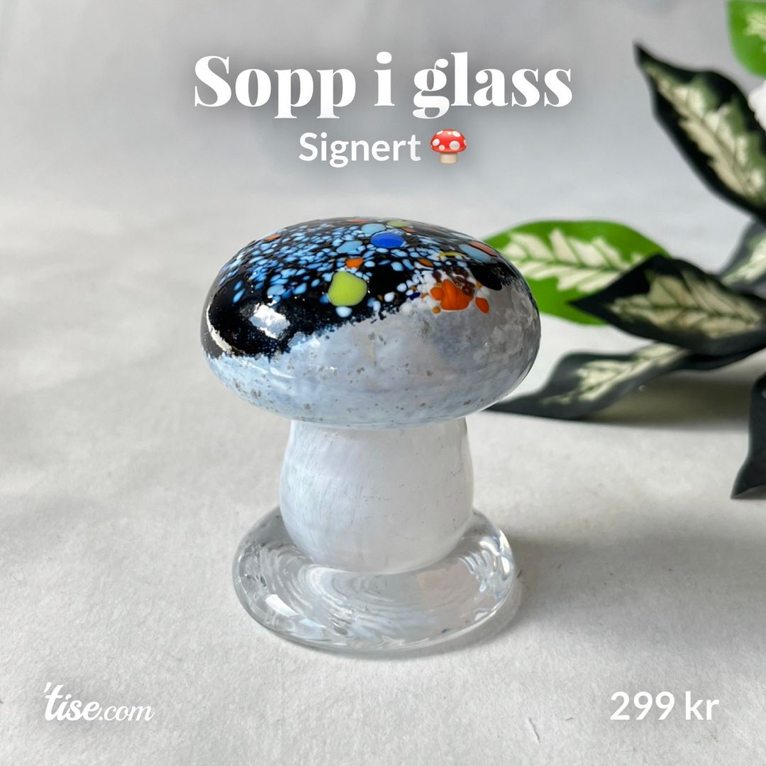 Sopp i glass