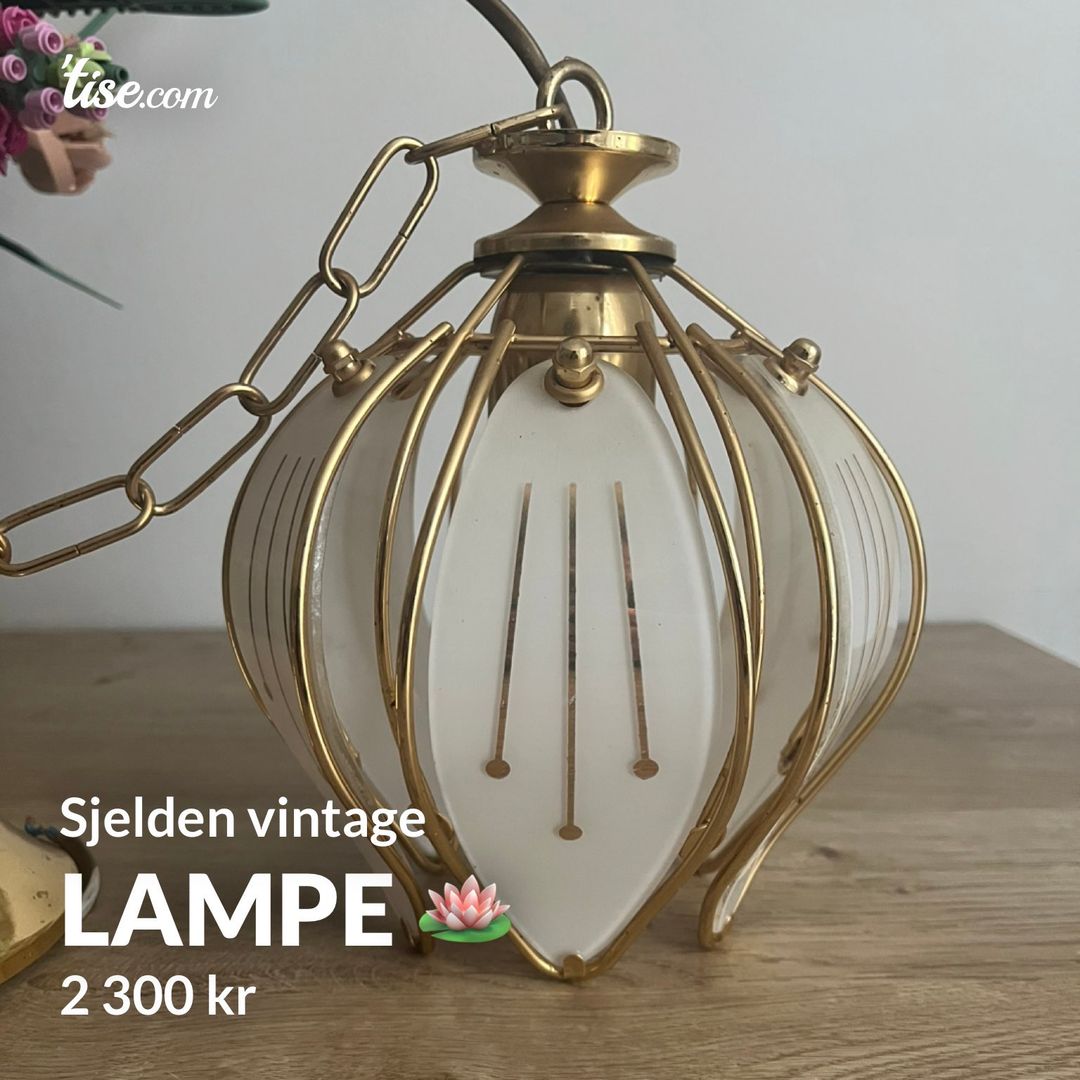 Lampe 🪷