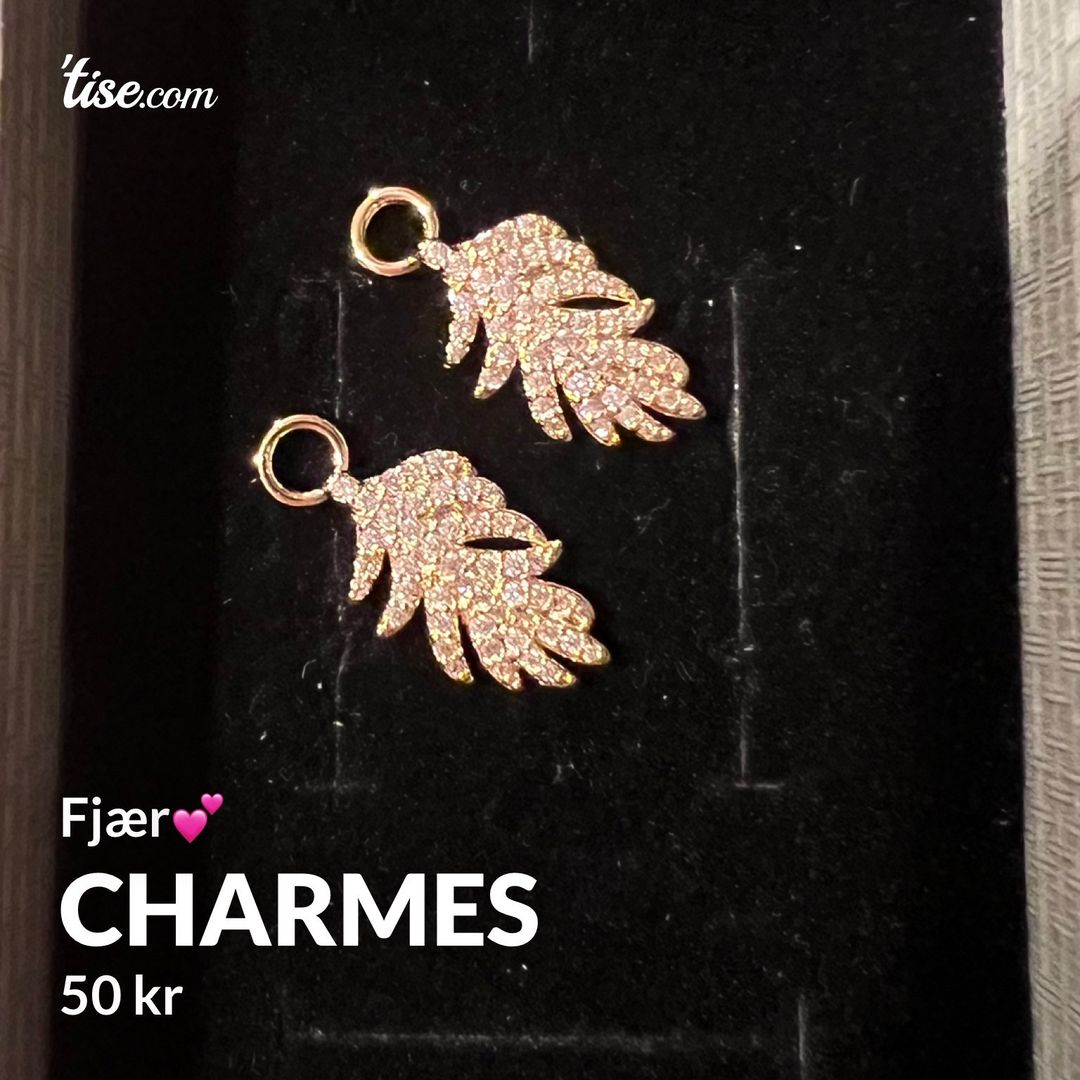 Charmes