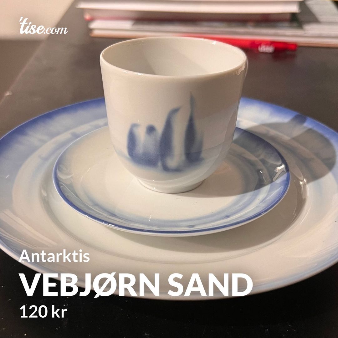 Vebjørn Sand