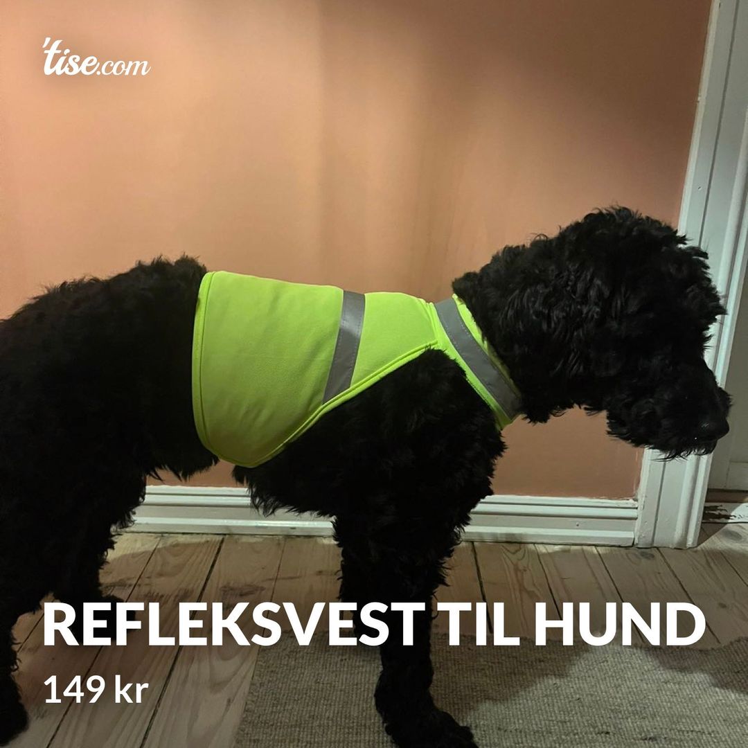 Refleksvest til hund