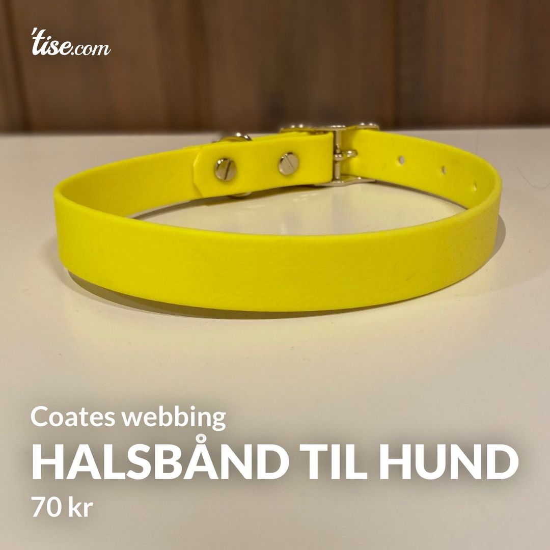 Halsbånd til hund