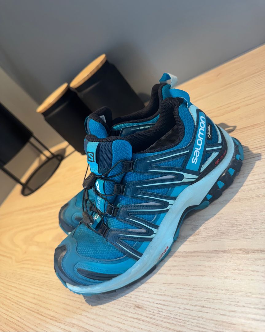 Salomon Gore-tex