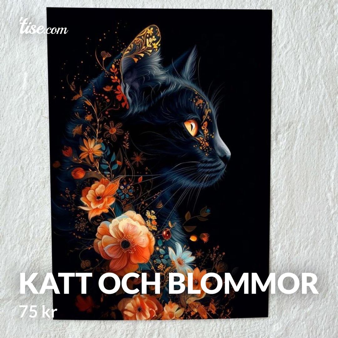 Katt och Blommor