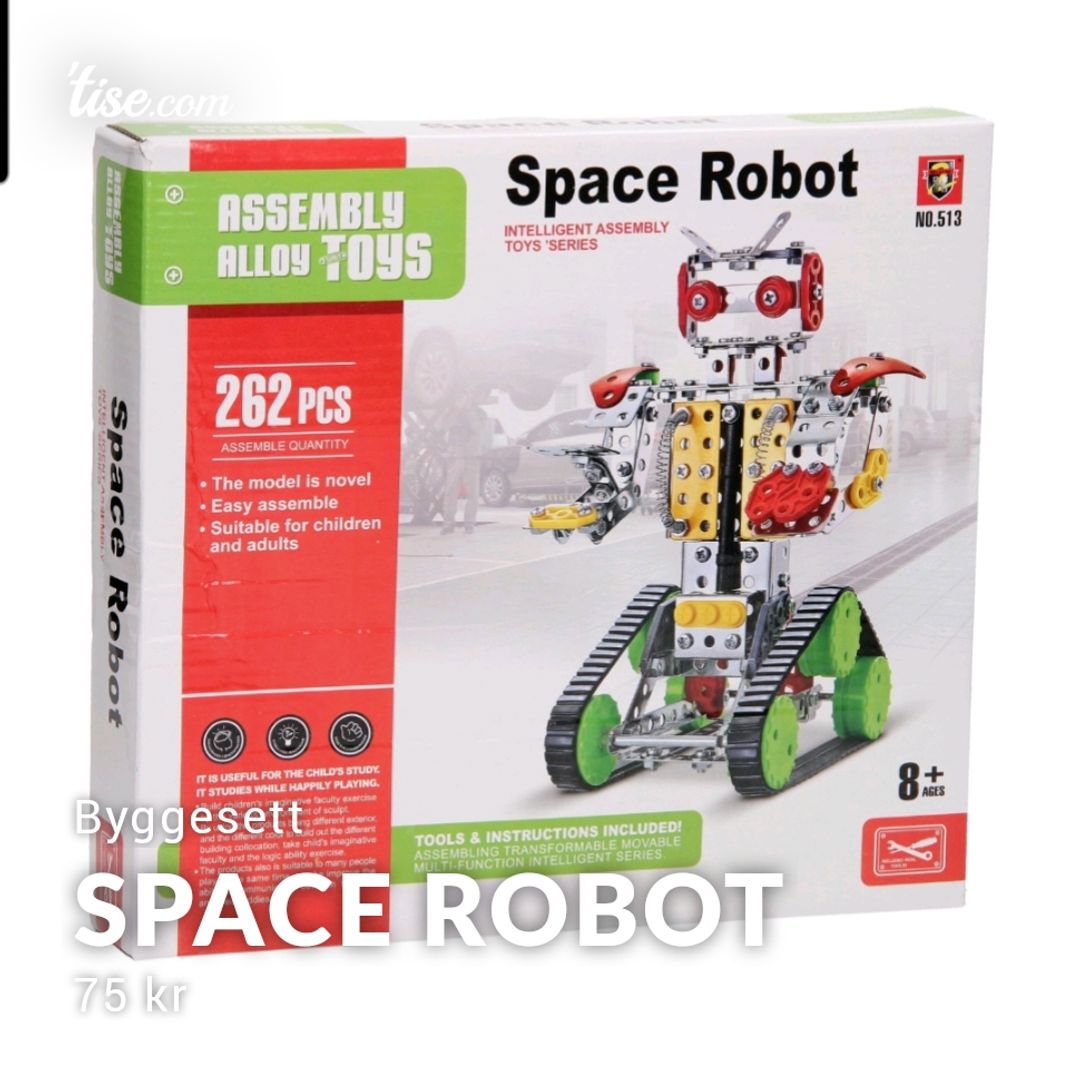 Space Robot