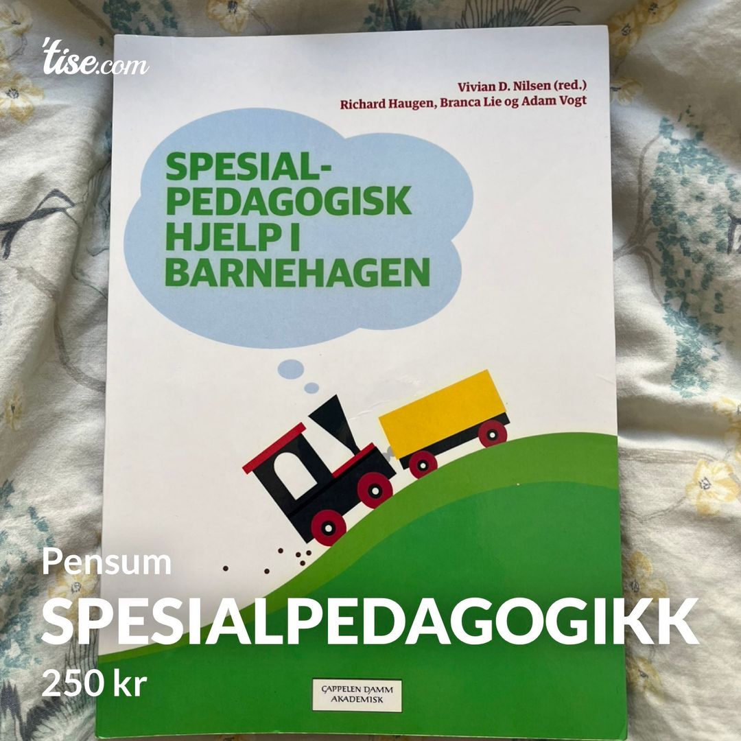 Spesialpedagogikk