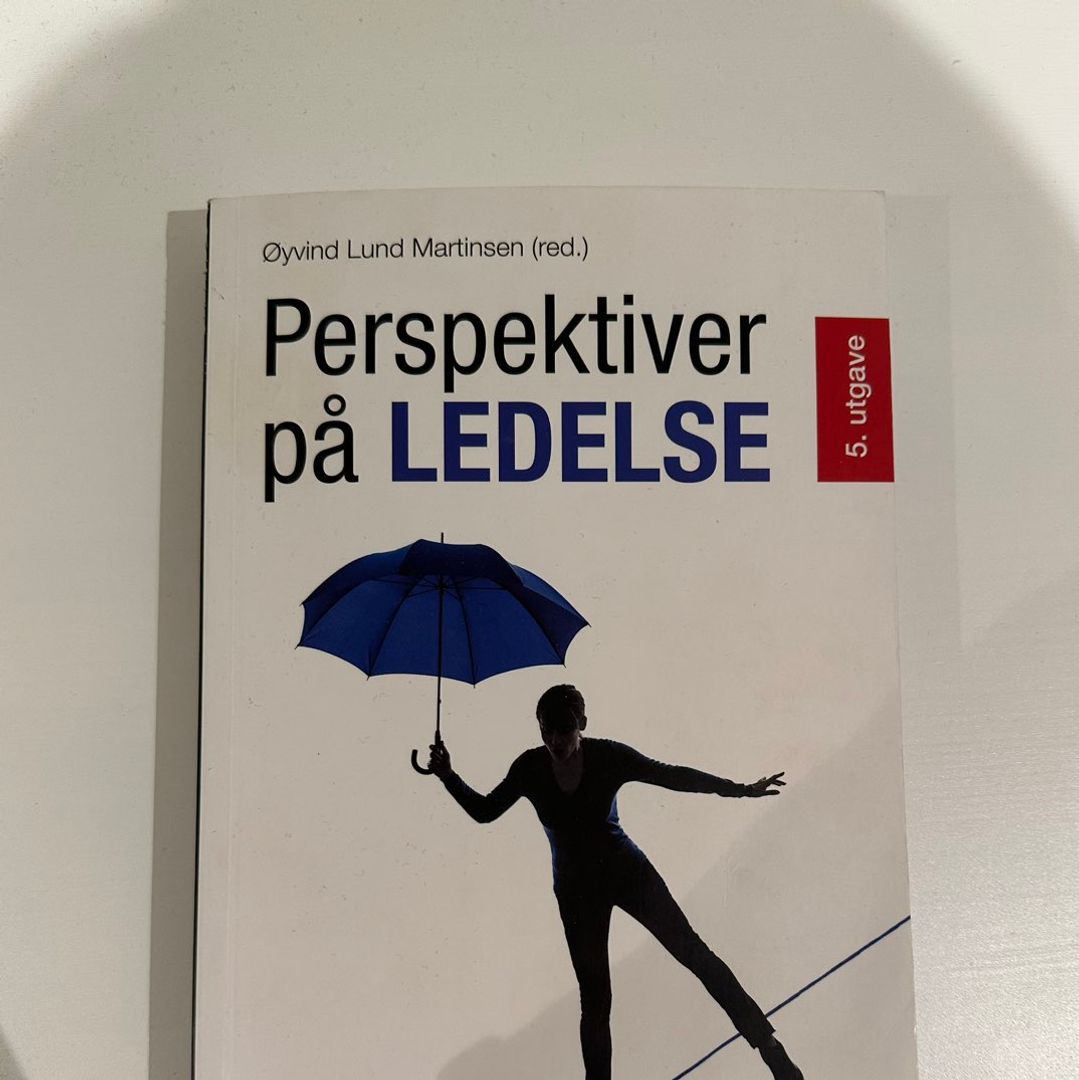 Perspektiver på lede