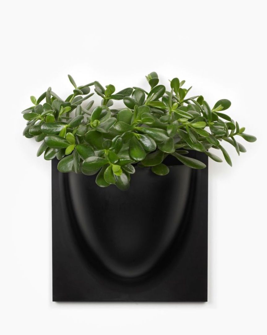 Vertiplant