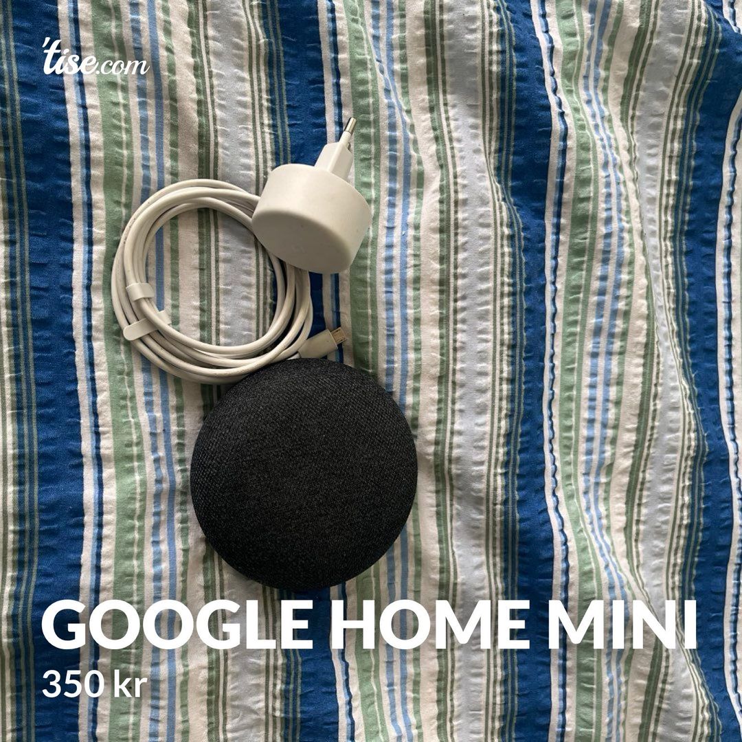 Google Home Mini