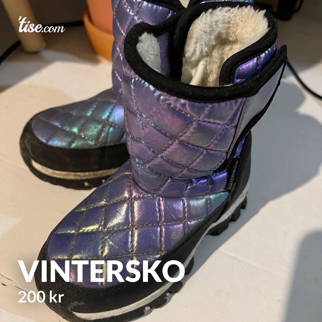 Vintersko