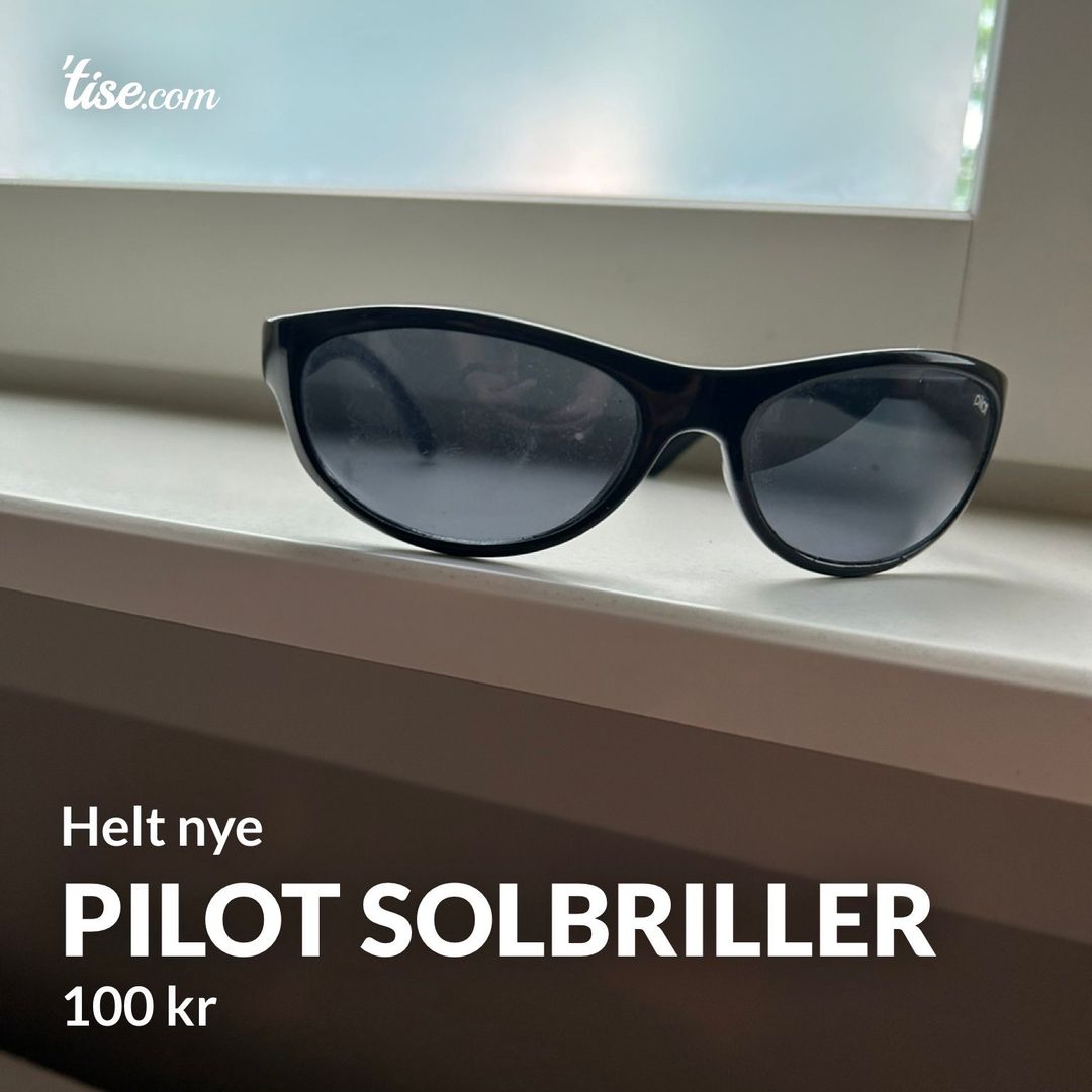 Pilot solbriller