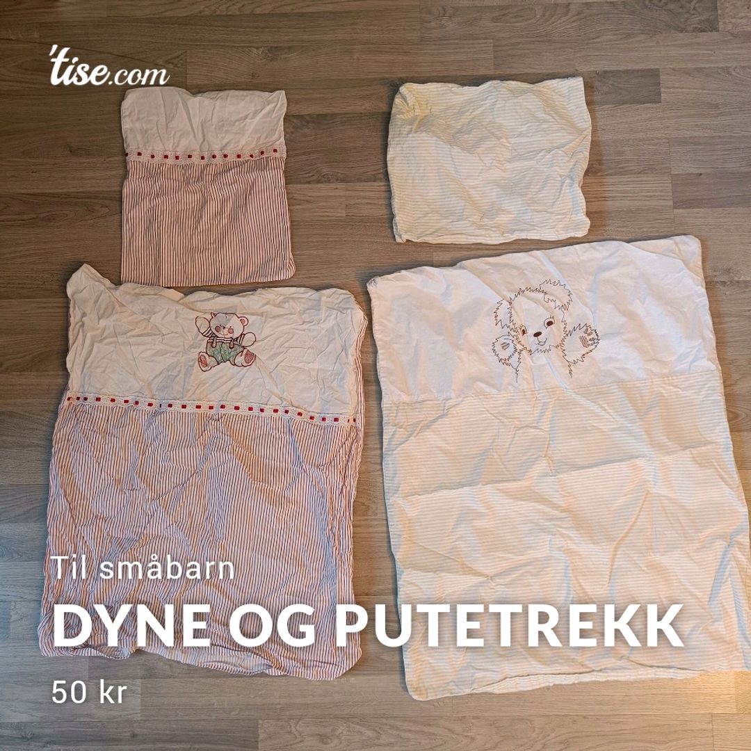 Dyne Og Putetrekk