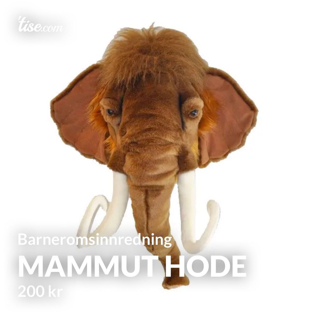 Mammut hode